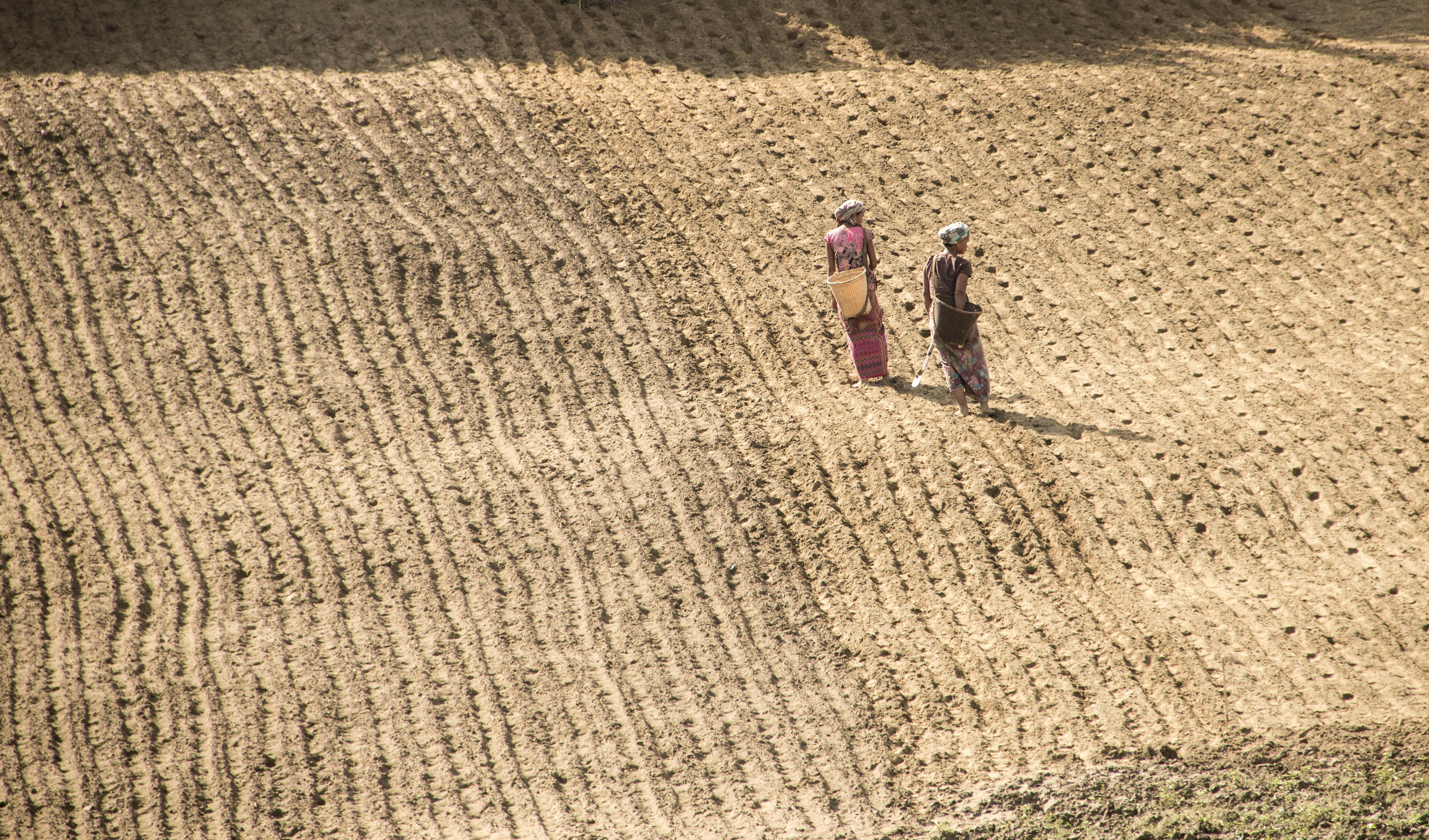 Photo by sazzadmahmud