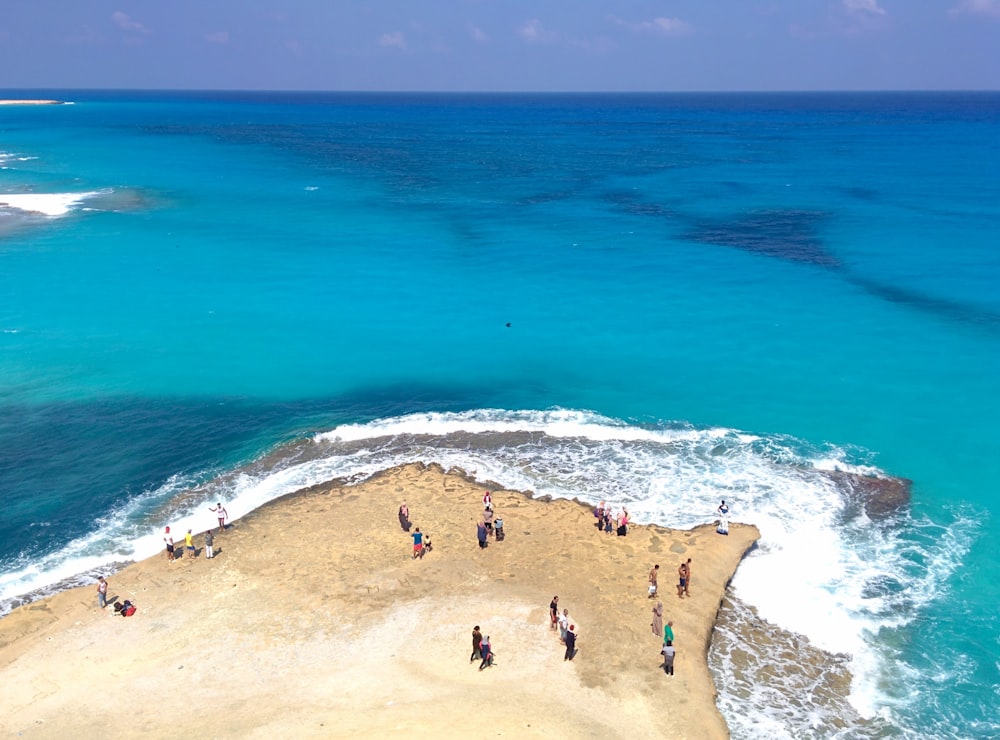 pessoas na praia durante o dia