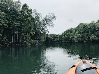 orange kayak on lake near green trees during daytime