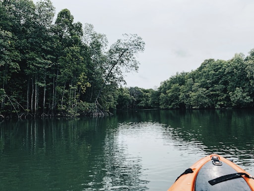 orange kayak on lake near green trees during daytime