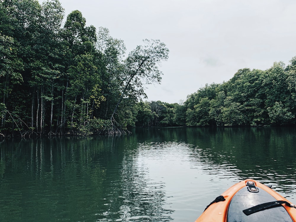 caiaque laranja no lago perto de árvores verdes durante o dia