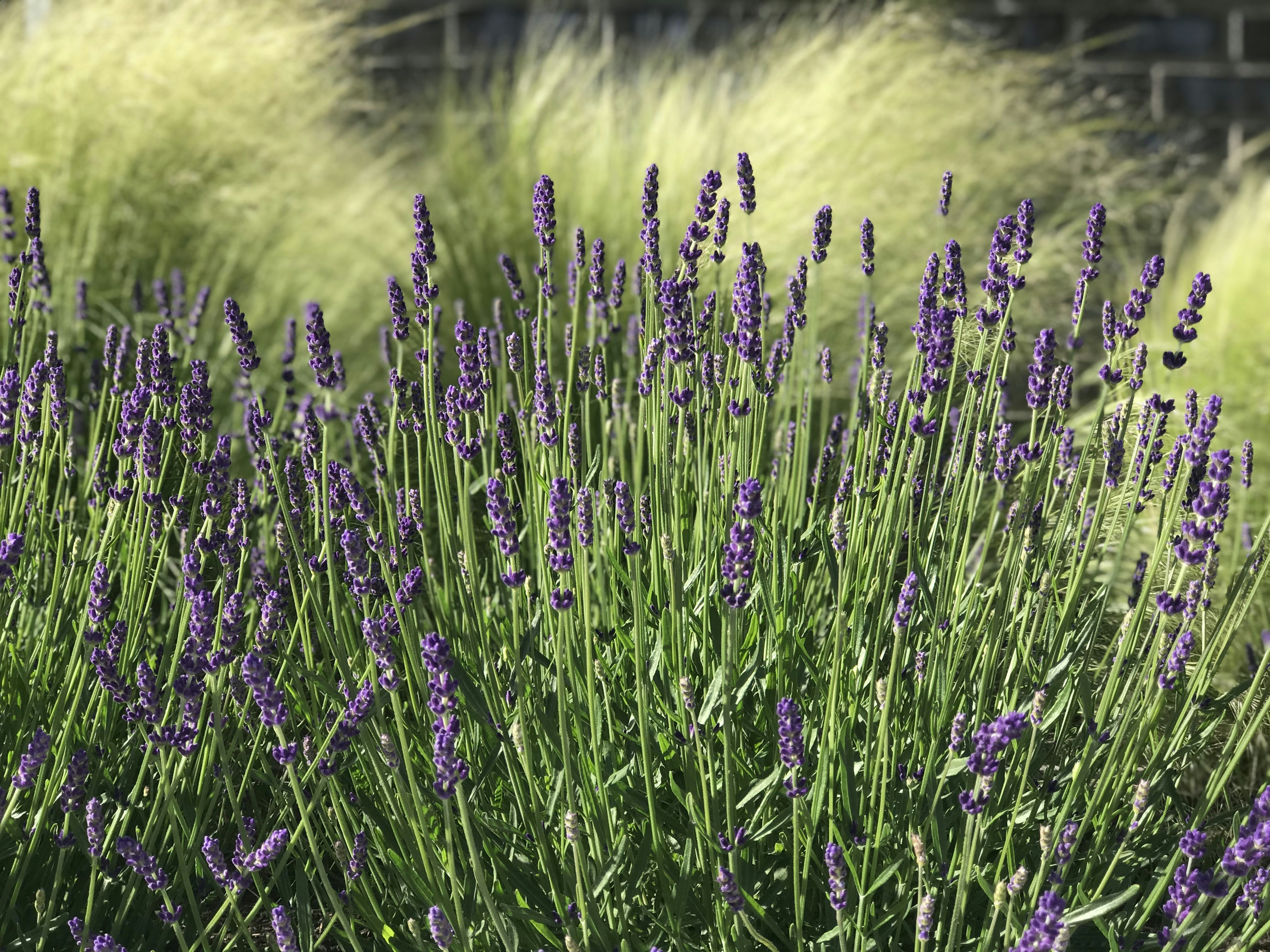 Photo by mayihelpministries