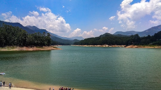 people swimming on sea near mountain under blue sky during daytime in Mattupetty Dam India