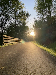 A serene pathway illuminated by soft golden light symbolizing the journey beyond fear.