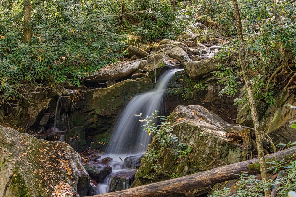 water falls in the middle of the forest