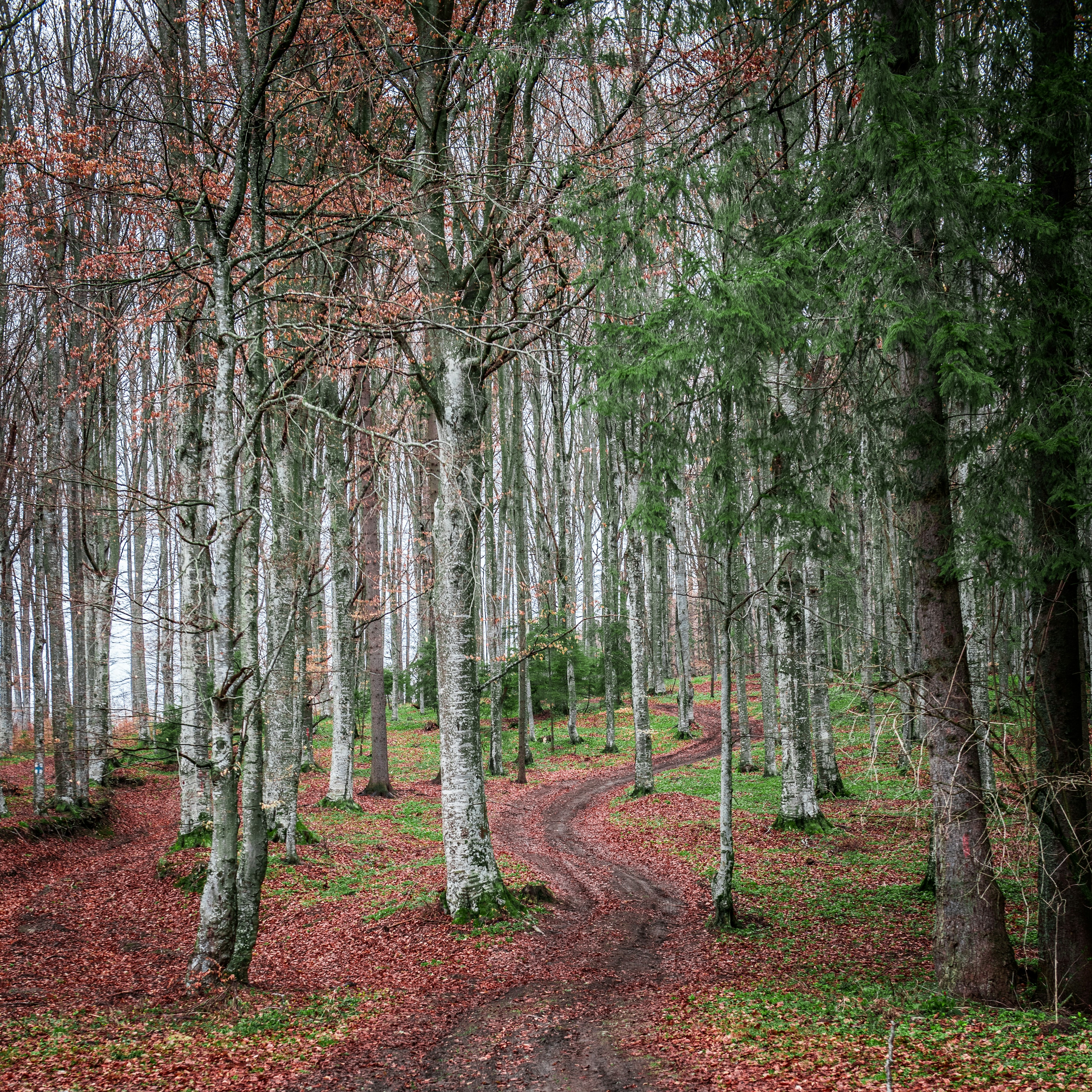 Photo by suzanne_ella