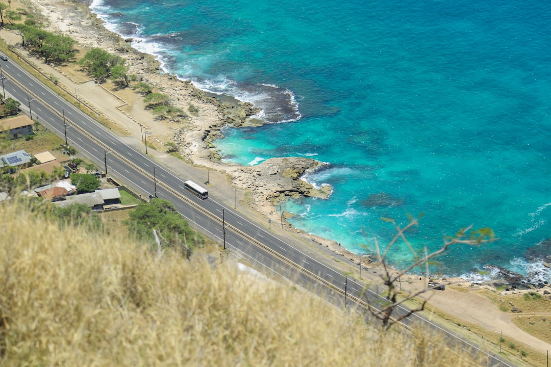 aerial view of a beach