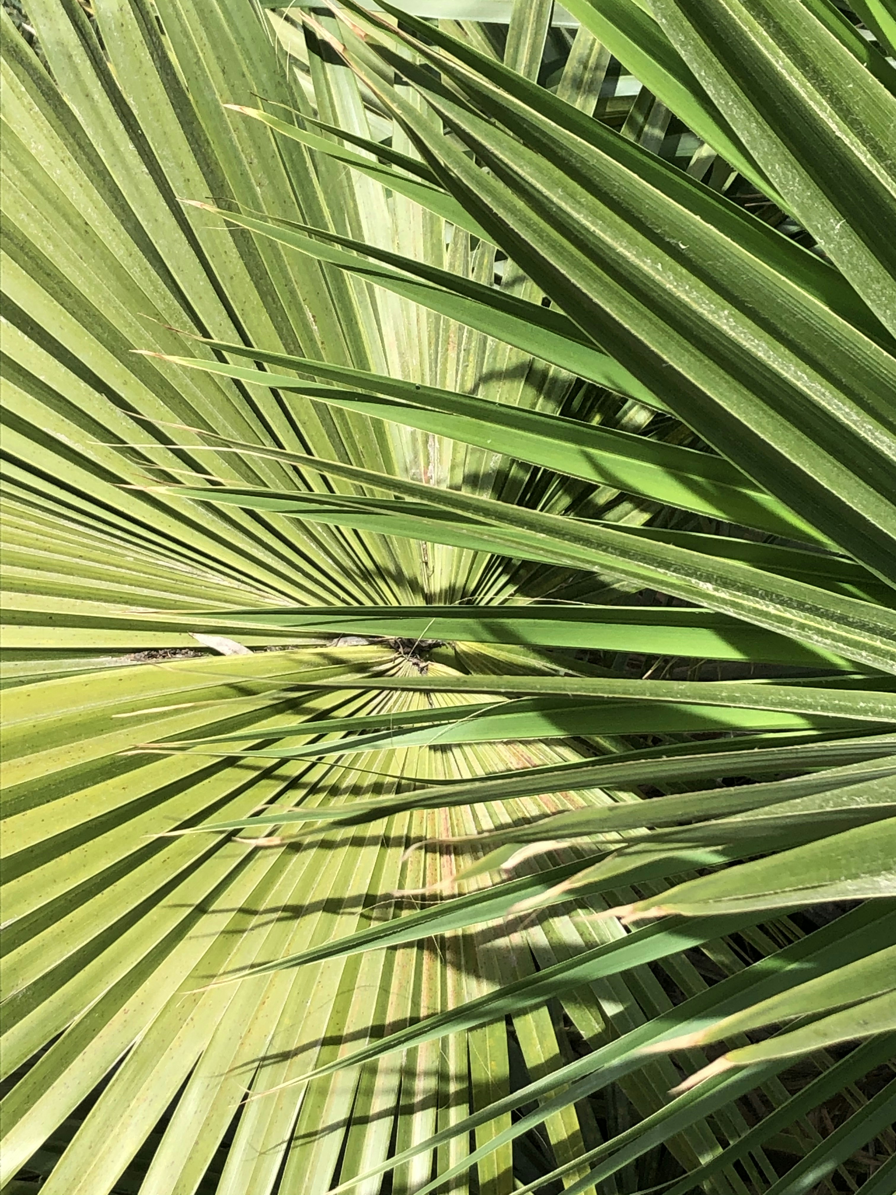 Photo by janinekrobinson