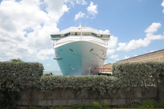 A friendly travel agent assisting a couple with cruise booking options at a bright, welcoming office.