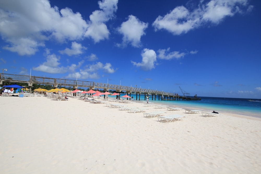 people on beach during daytime