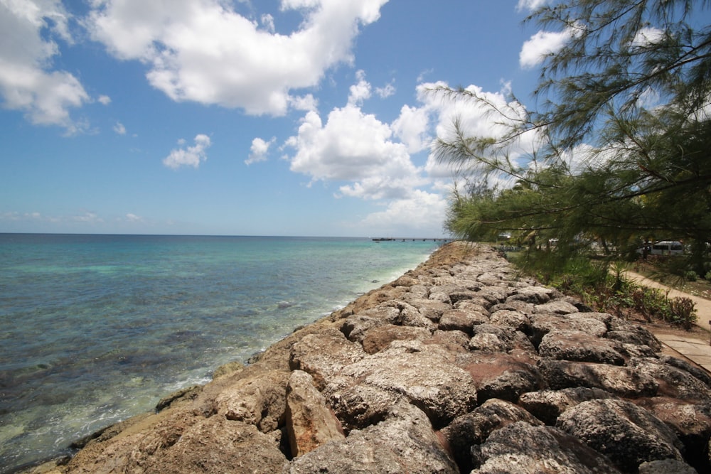 brown rocky shore near body of water under blue and white sunny cloudy sky during daytime