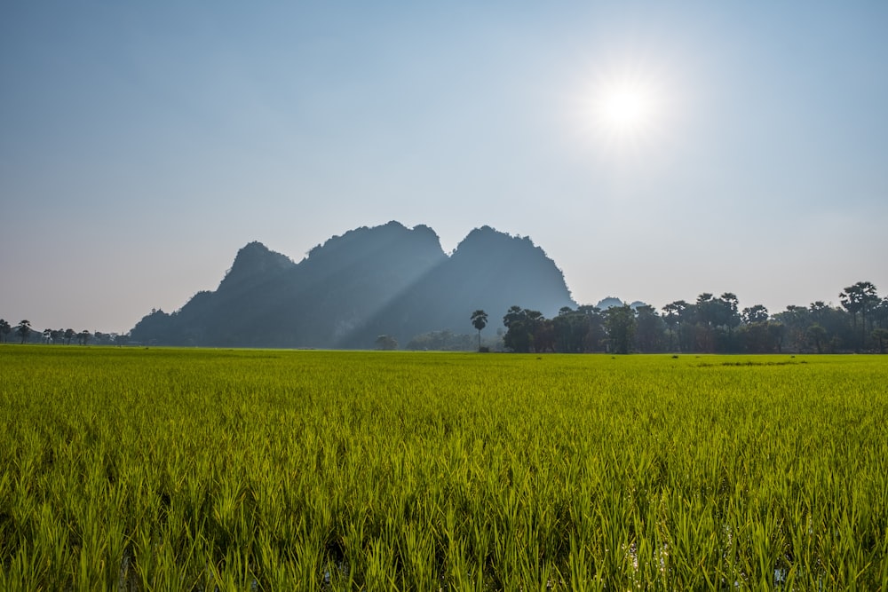 green grass field near mountain under white clouds during daytime