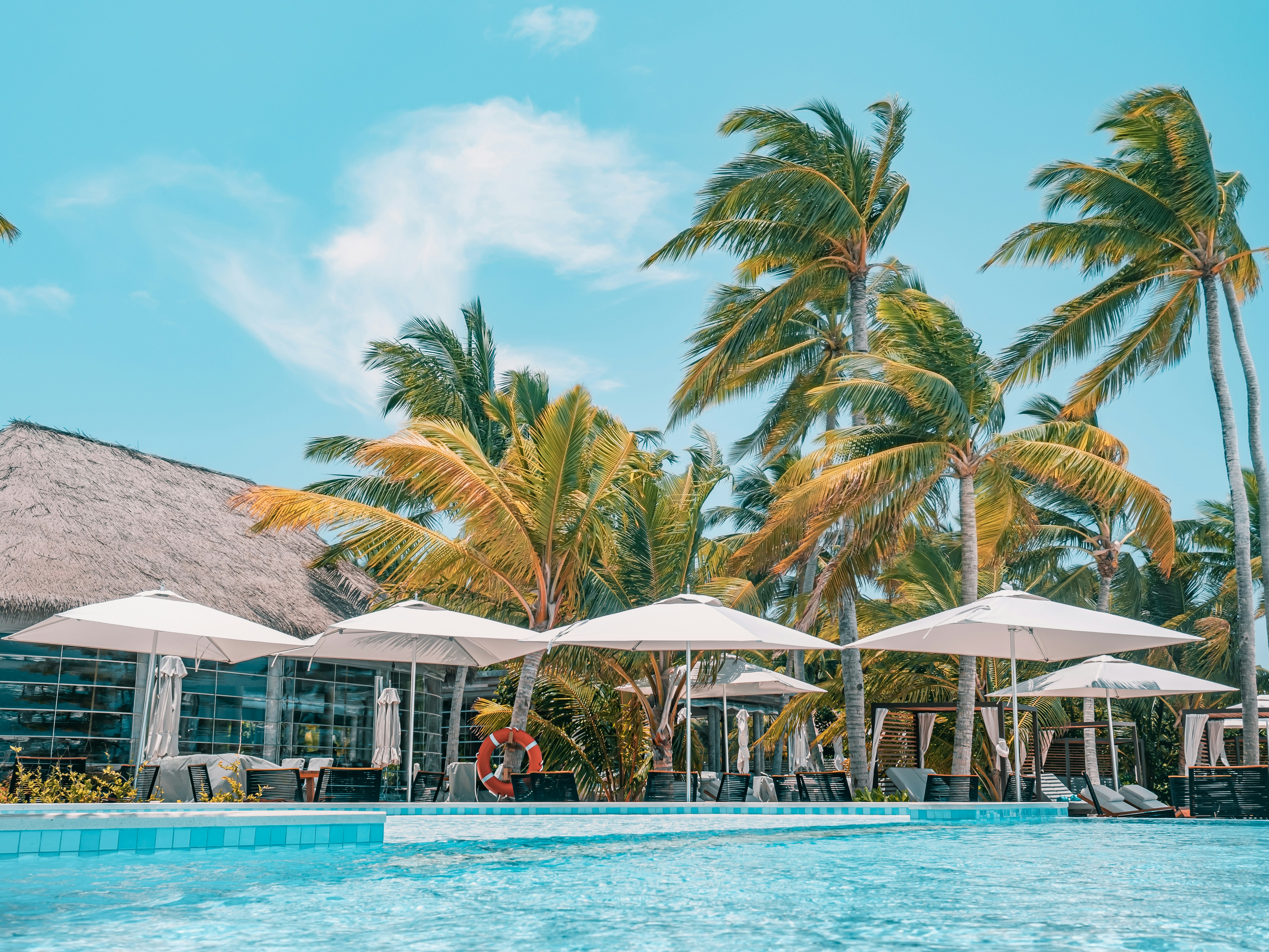 people in swimming pool during daytime