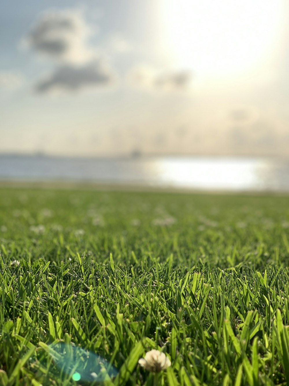 green grass field during daytime