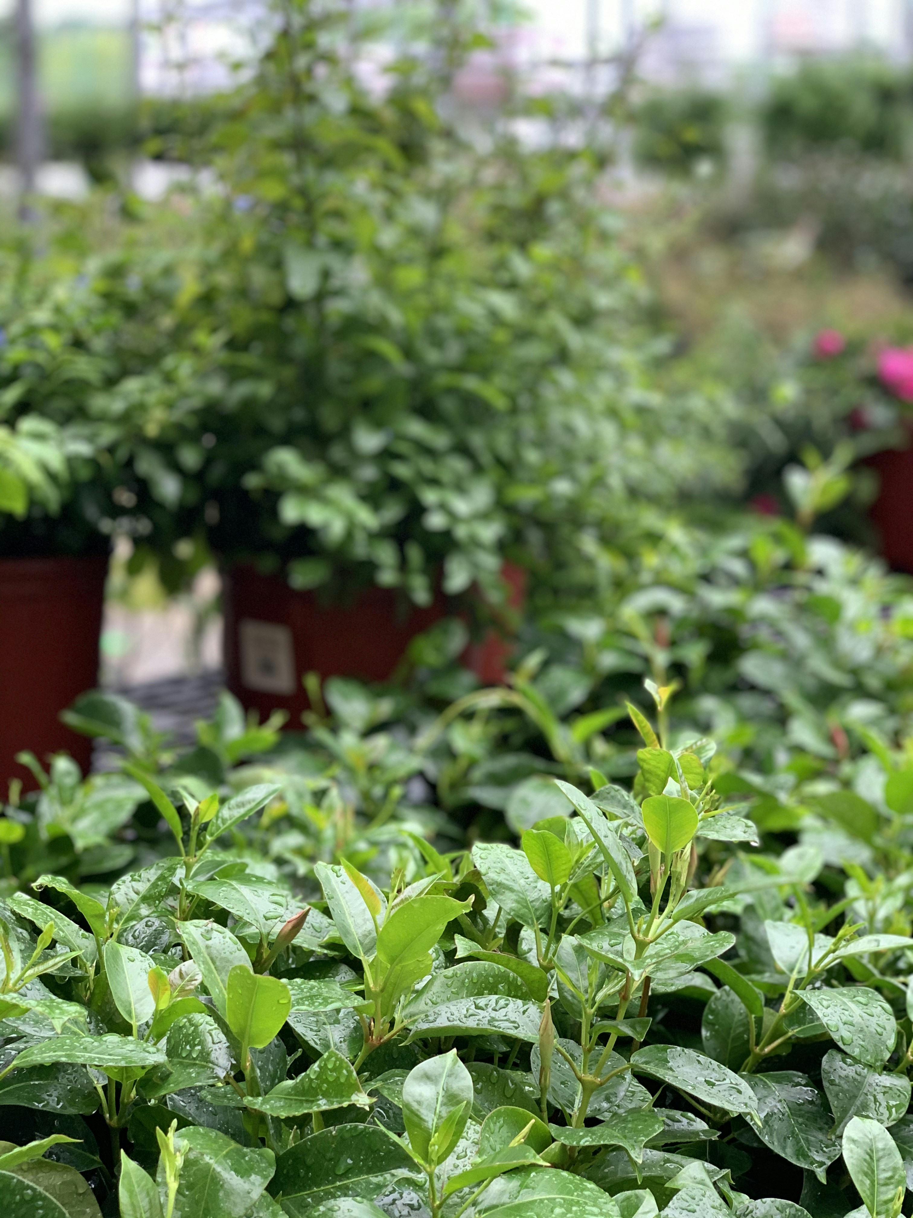 Photo by anistongrace