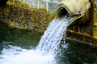 Cel Biochem Raw Water Treatment Chemicals