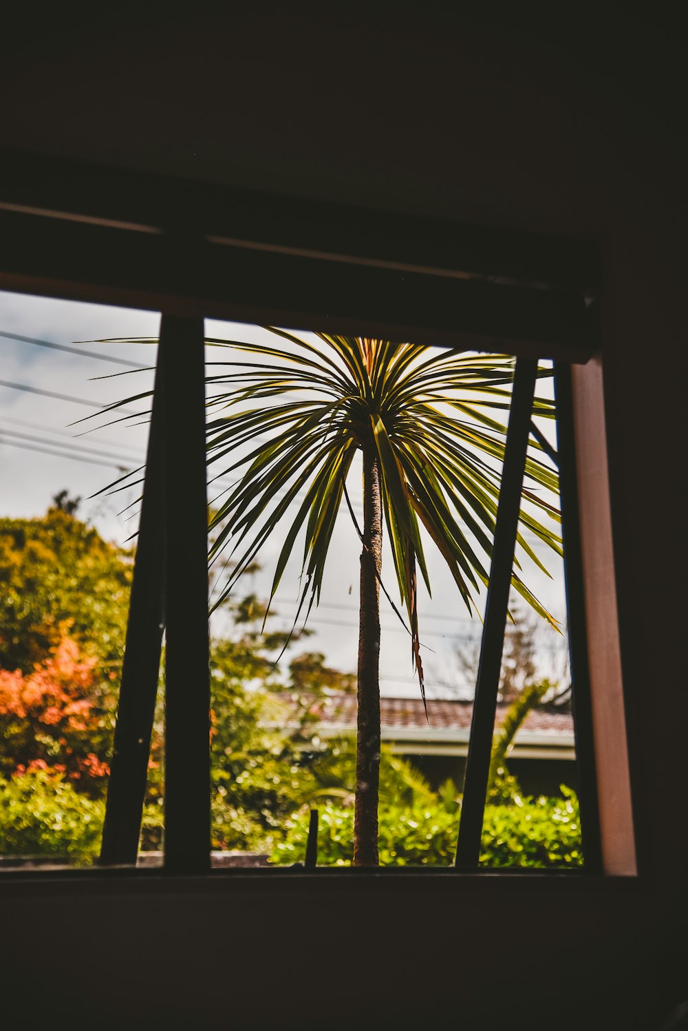 green palm tree during daytime