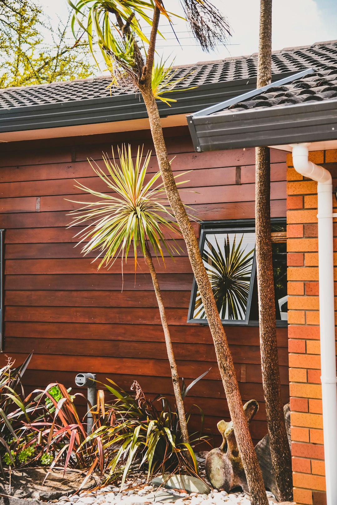 green palm plant near brown brick wall