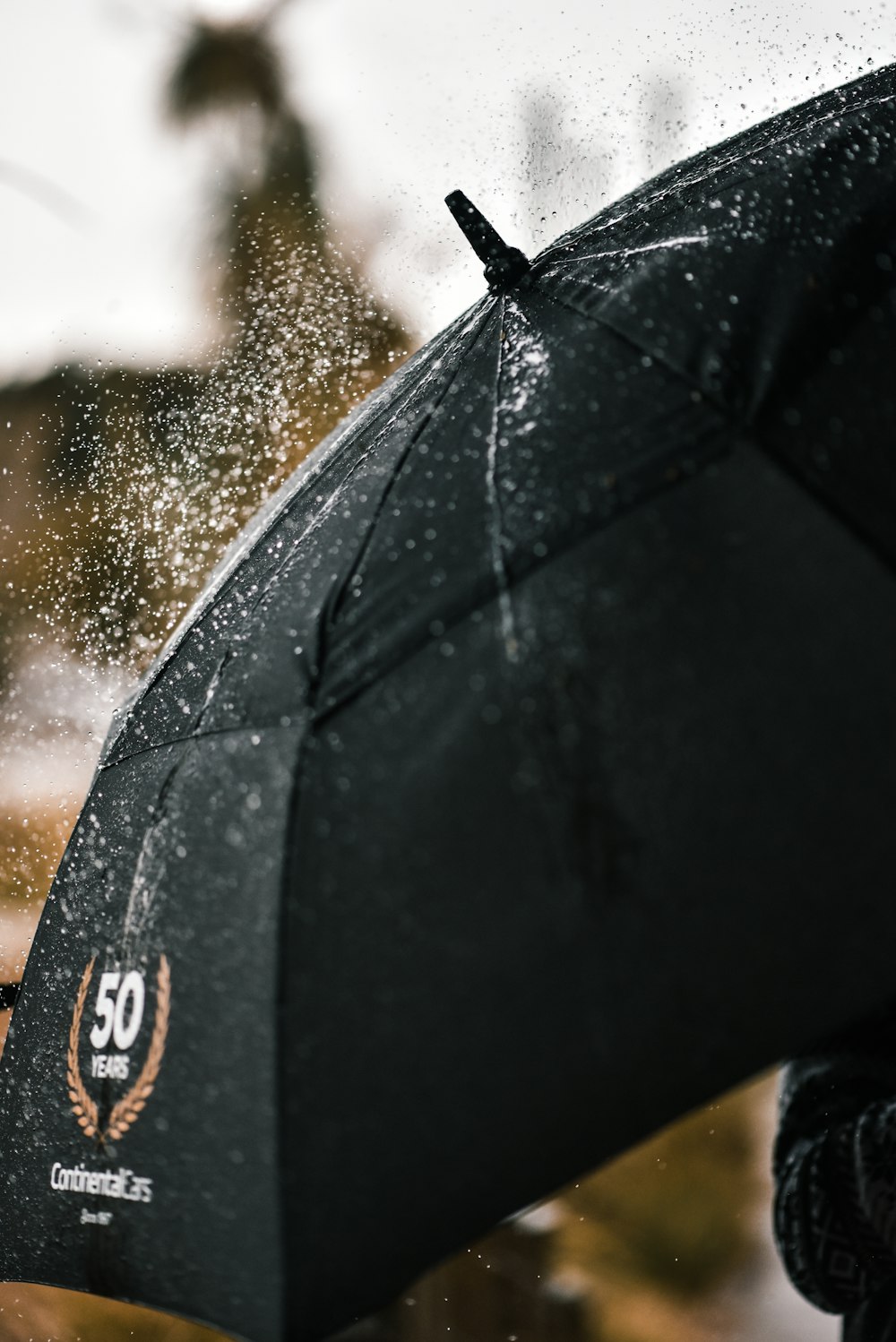 water droplets on black umbrella