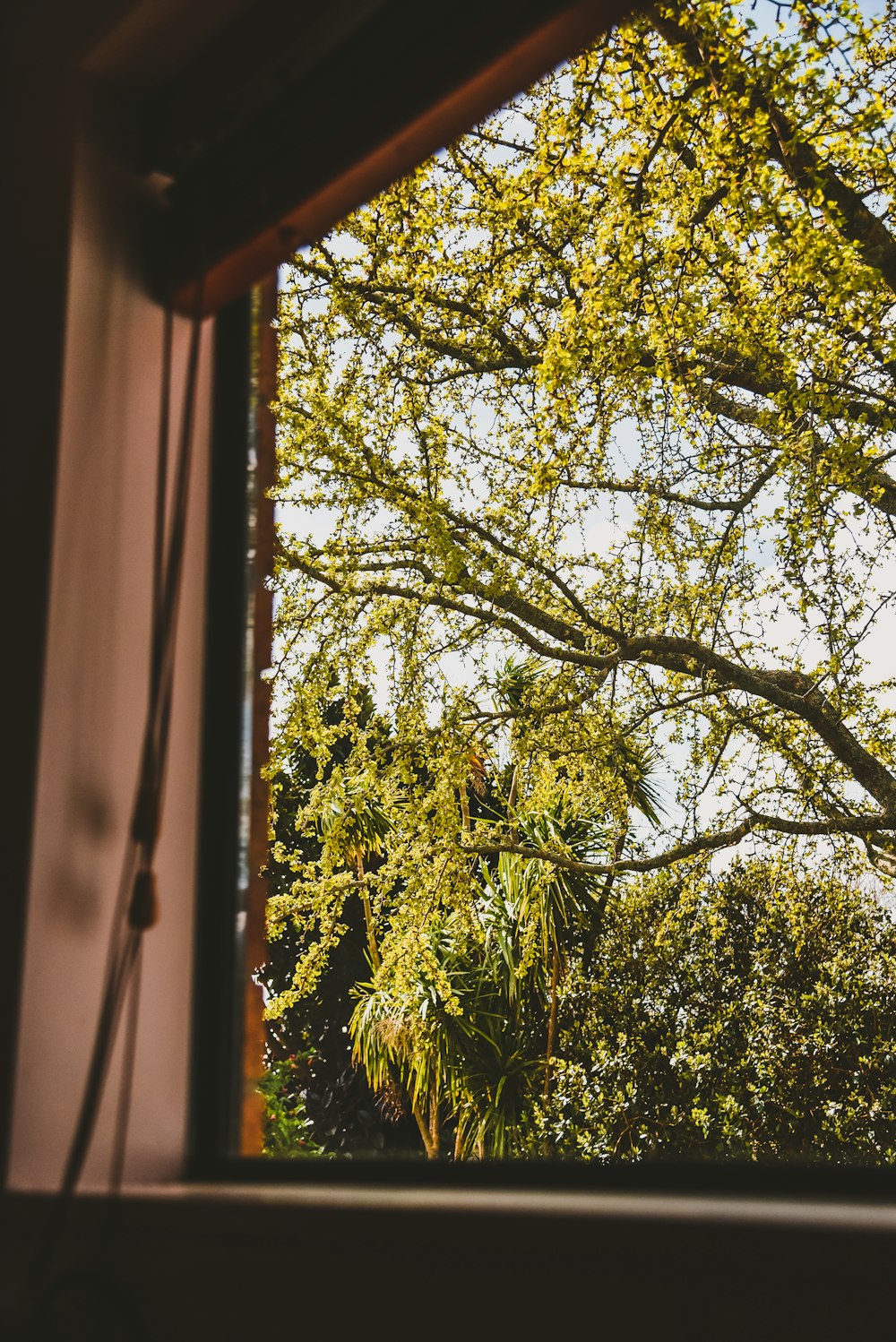 green tree during day time