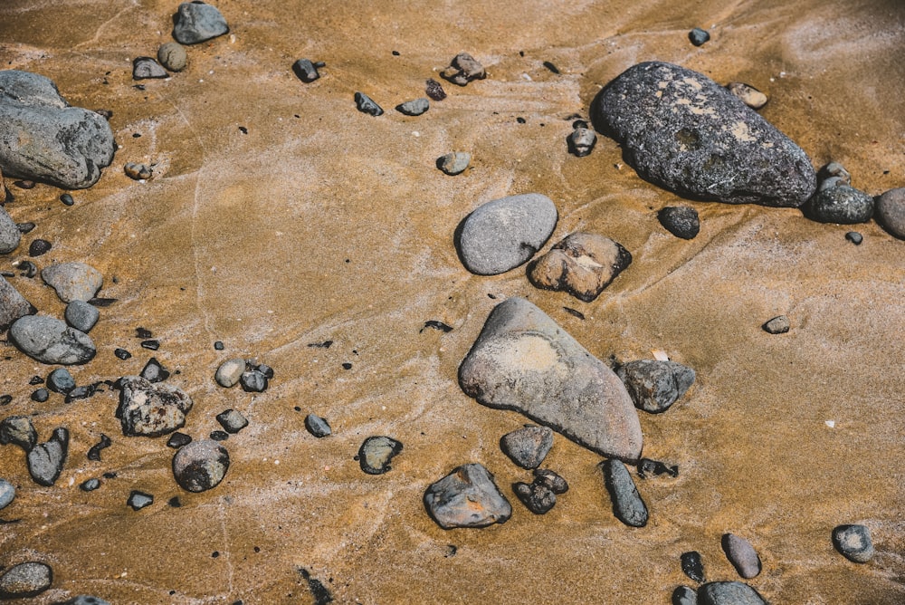 gray and black stone on brown sand