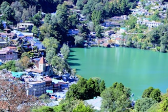 aerial view of houses near green trees and lake during daytime