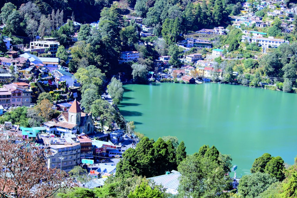 aerial view of houses near green trees and lake during daytime