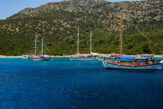 Several sailboats float on a tranquil, clear blue sea near a lush, green coastline. The background features a rugged hill covered in dense foliage. The boats are traditional wooden designs with masts and some feature colorful awnings.