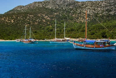 Several sailboats float on a tranquil, clear blue sea near a lush, green coastline. The background features a rugged hill covered in dense foliage. The boats are traditional wooden designs with masts and some feature colorful awnings.
