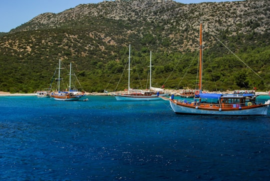white and blue boat on sea during daytime in Bodrum Turkey