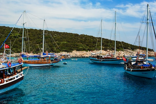 blue and white boat on sea near green mountain under blue sky during daytime in Bodrum Turkey