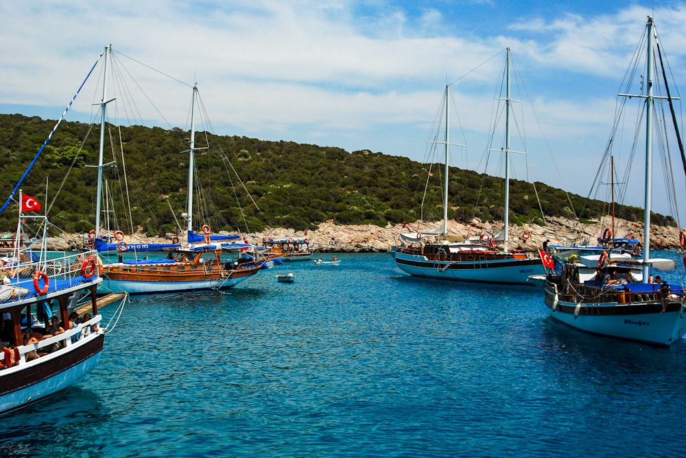 blue and white boat on sea near green mountain under blue sky during daytime