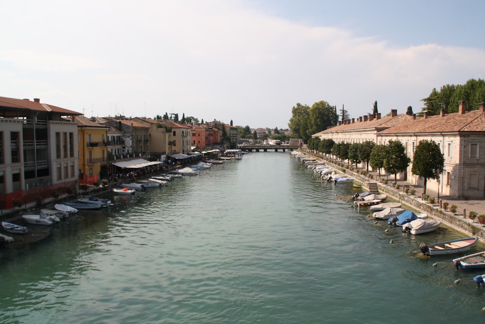 boats on river near buildings during daytime