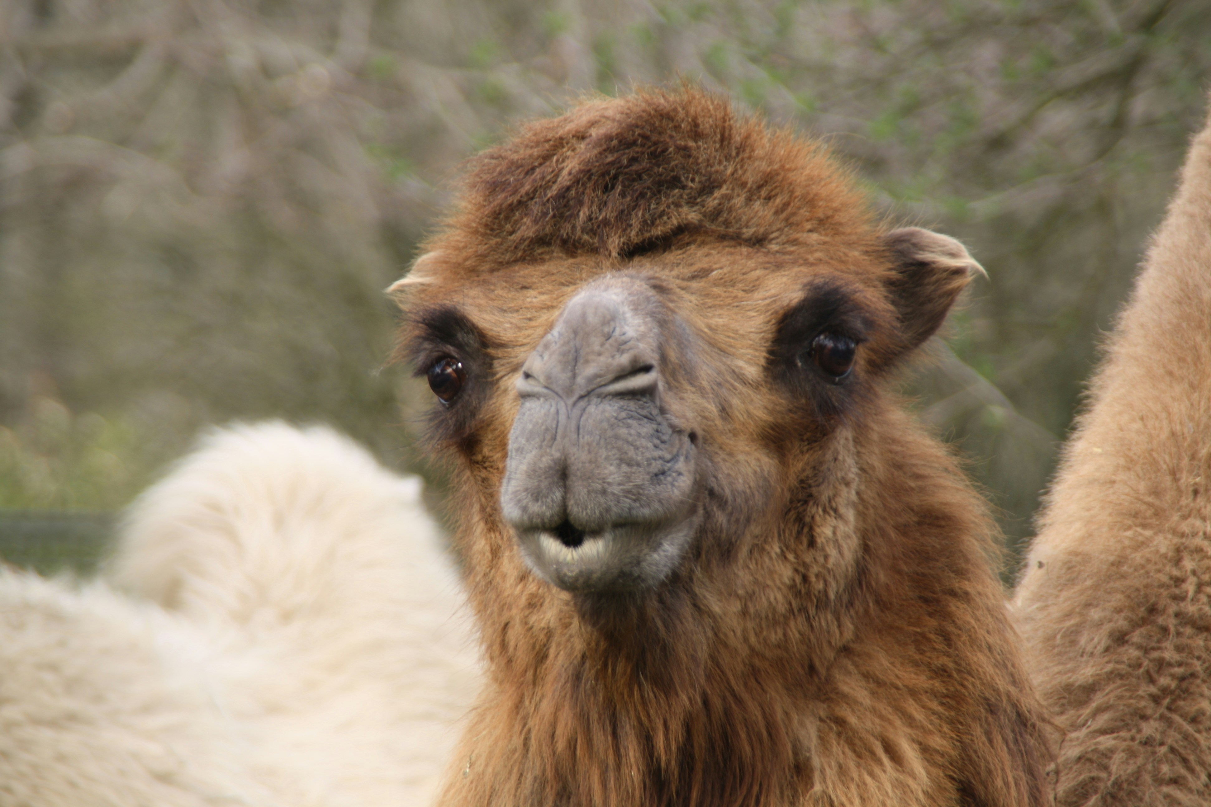 Photo by felix_lemke