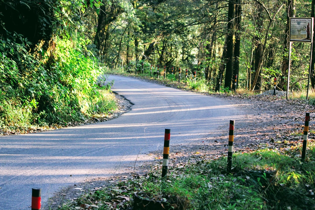 Nature reserve photo spot Kilbury Road Almora