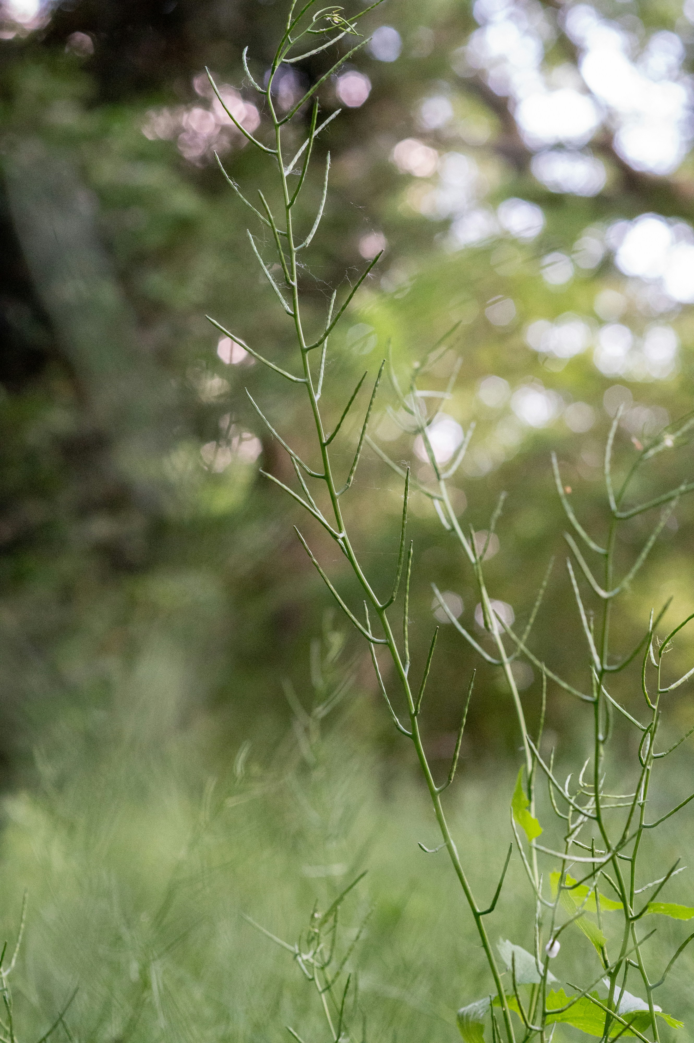 Photo by louisesmithma