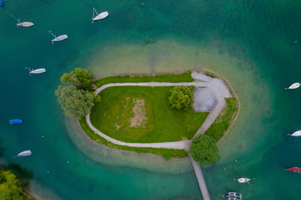 veduta aerea del campo di erba verde e dello specchio d'acqua