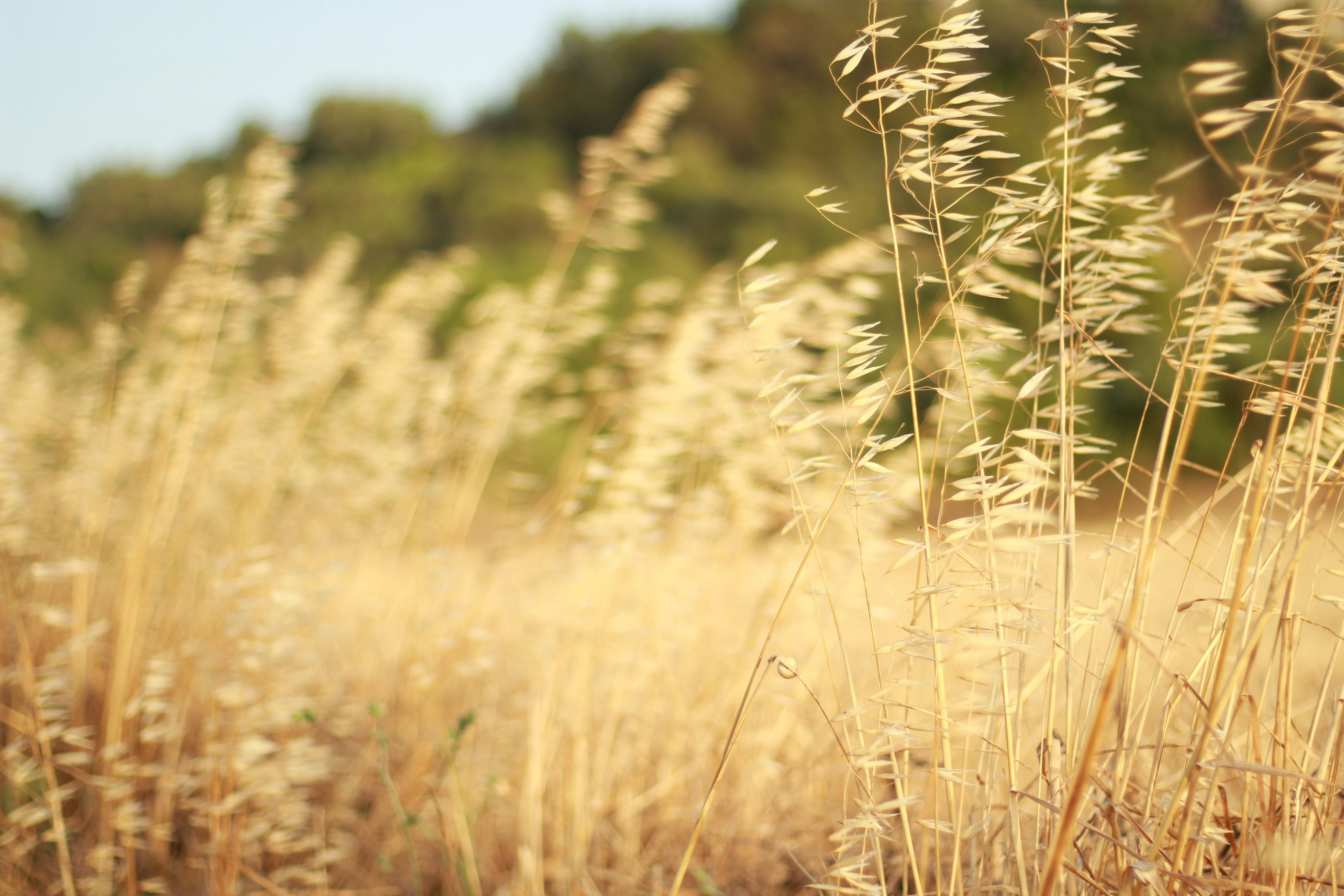 Photo by ulmanphotography