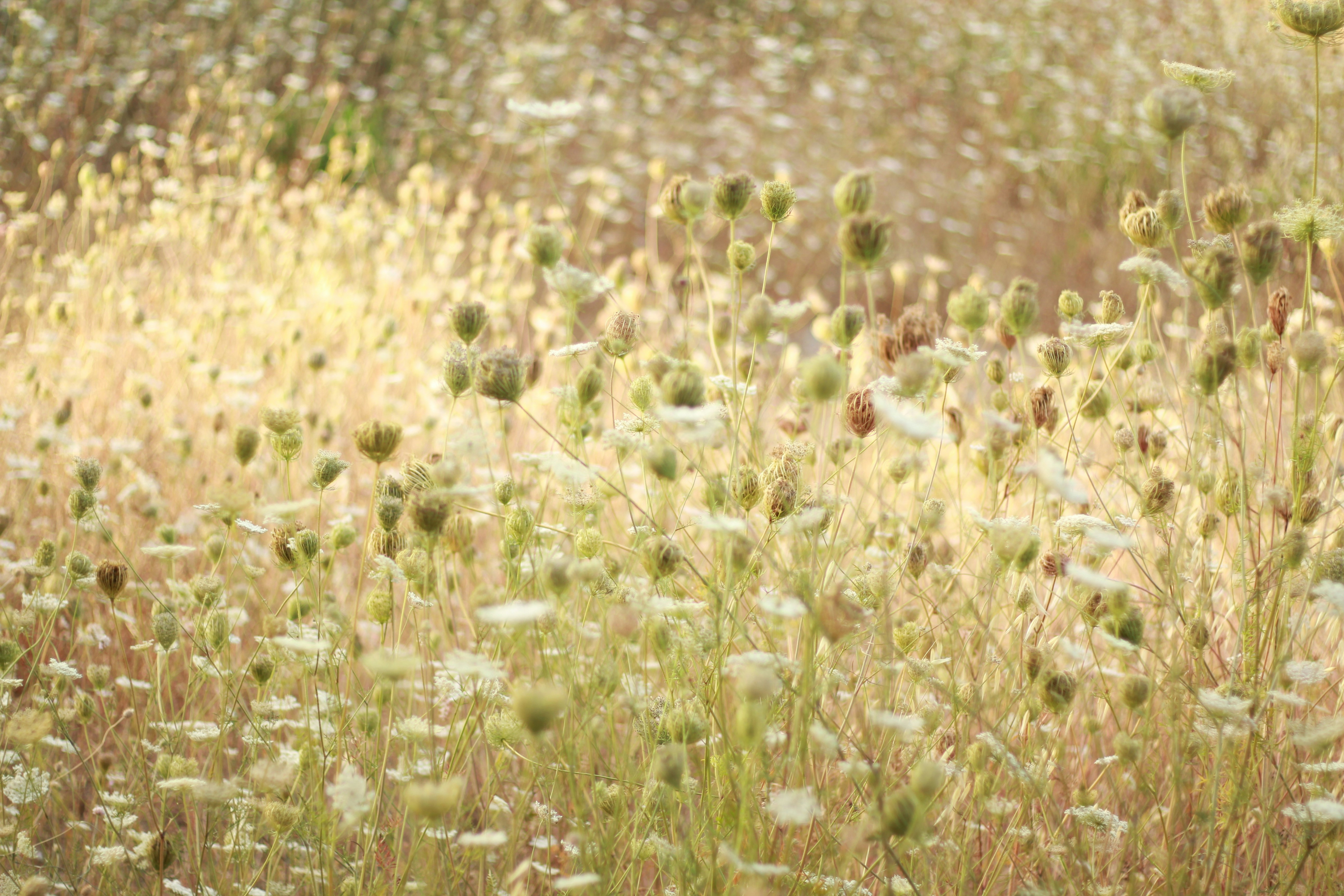 Photo by ulmanphotography