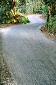 gray concrete road between green trees during daytime