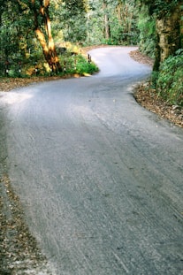 gray concrete road between green trees during daytime