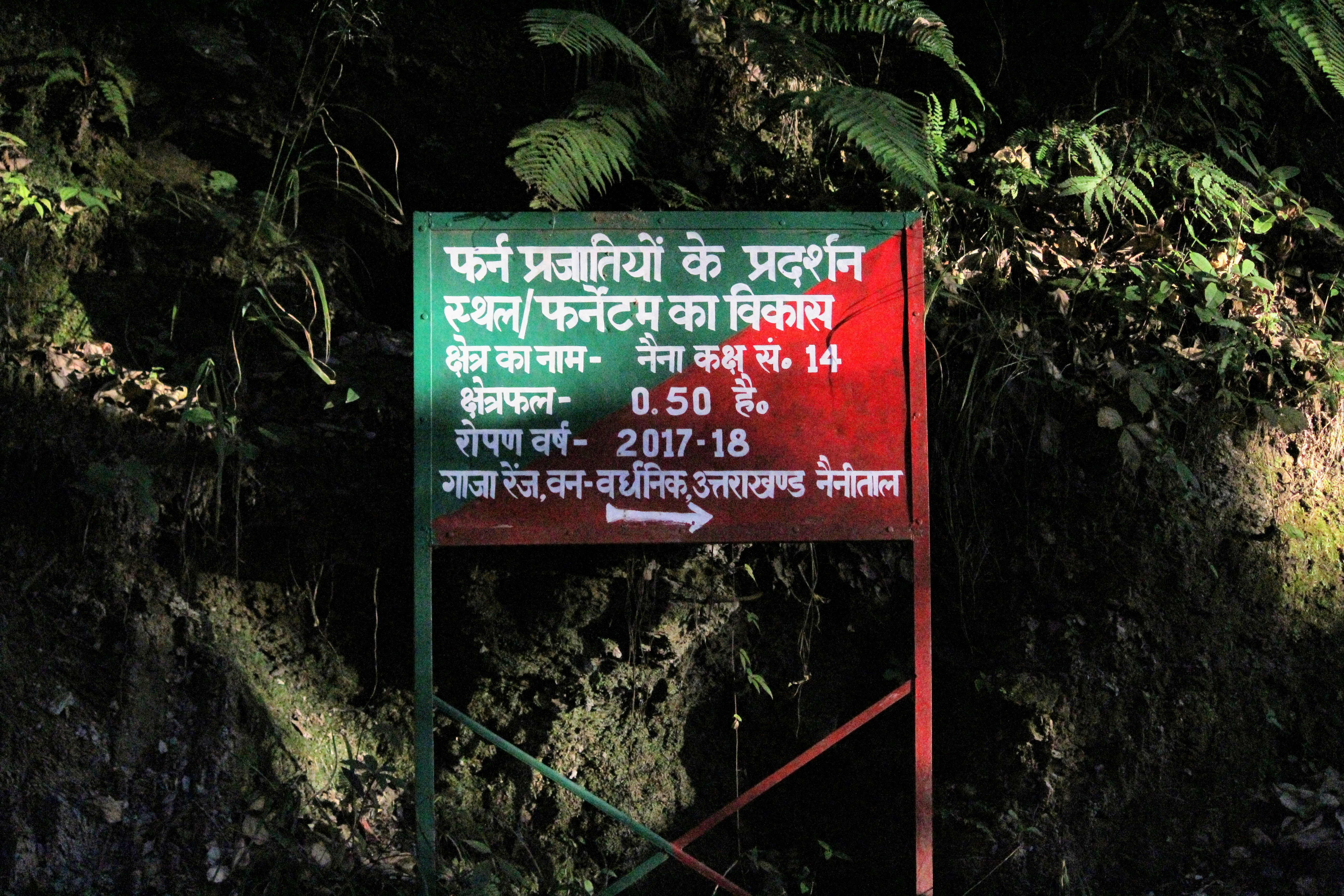 अच्छा सपना किसी को बताना चाहिए या नहीं