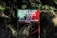 A red rectangular signboard with text in Hindi is situated against a background of dense foliage. The area is lush with green leaves and shadows suggest it's in a forested or heavily vegetated area.