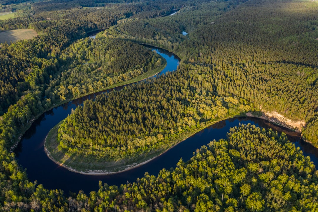 aerial view of green trees and river