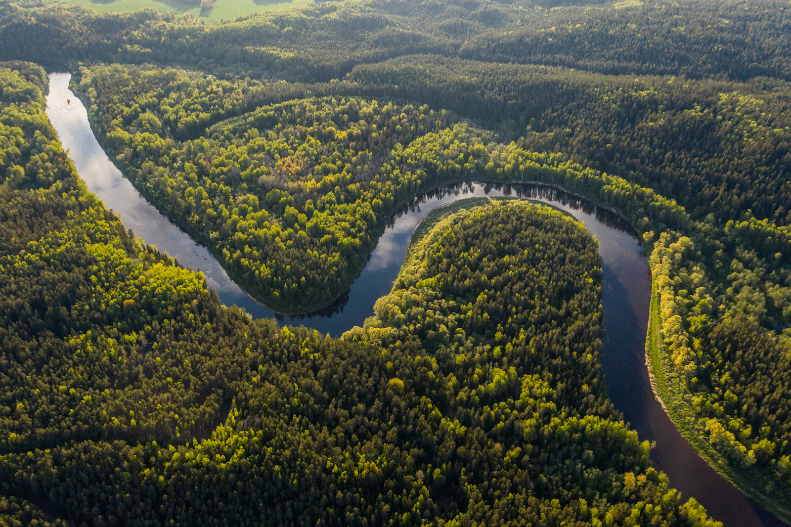 Vista aérea de rio e floresta na Amazônia
