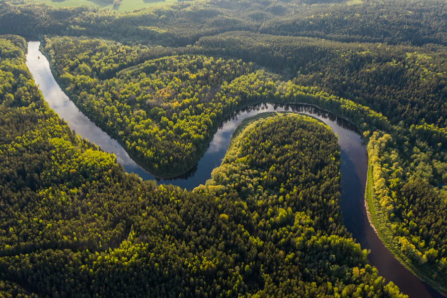 Selva amazónica vista desde el aire