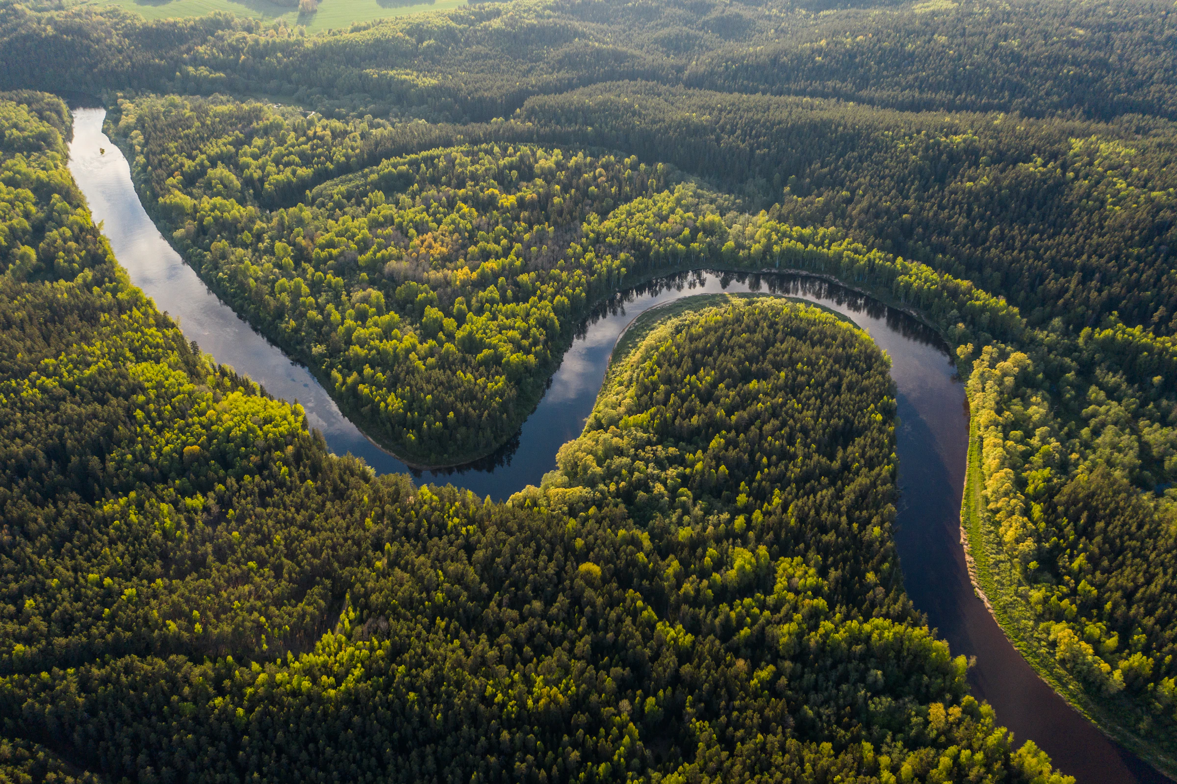 Parque Nacional Madidi