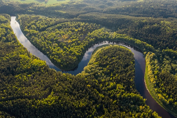 Amazon river winding through rainforest canopy