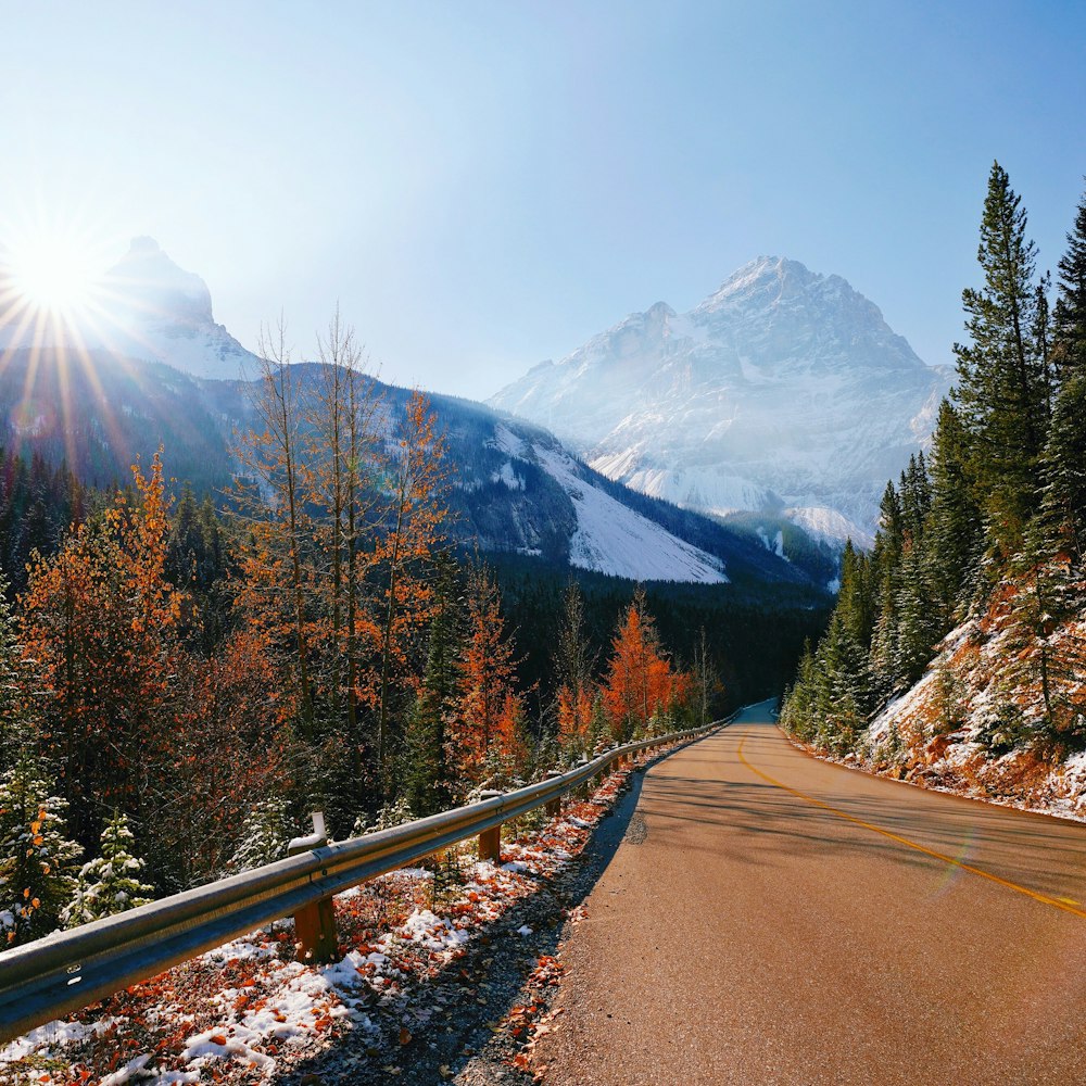 gray concrete road between brown trees near snow covered mountain during daytime