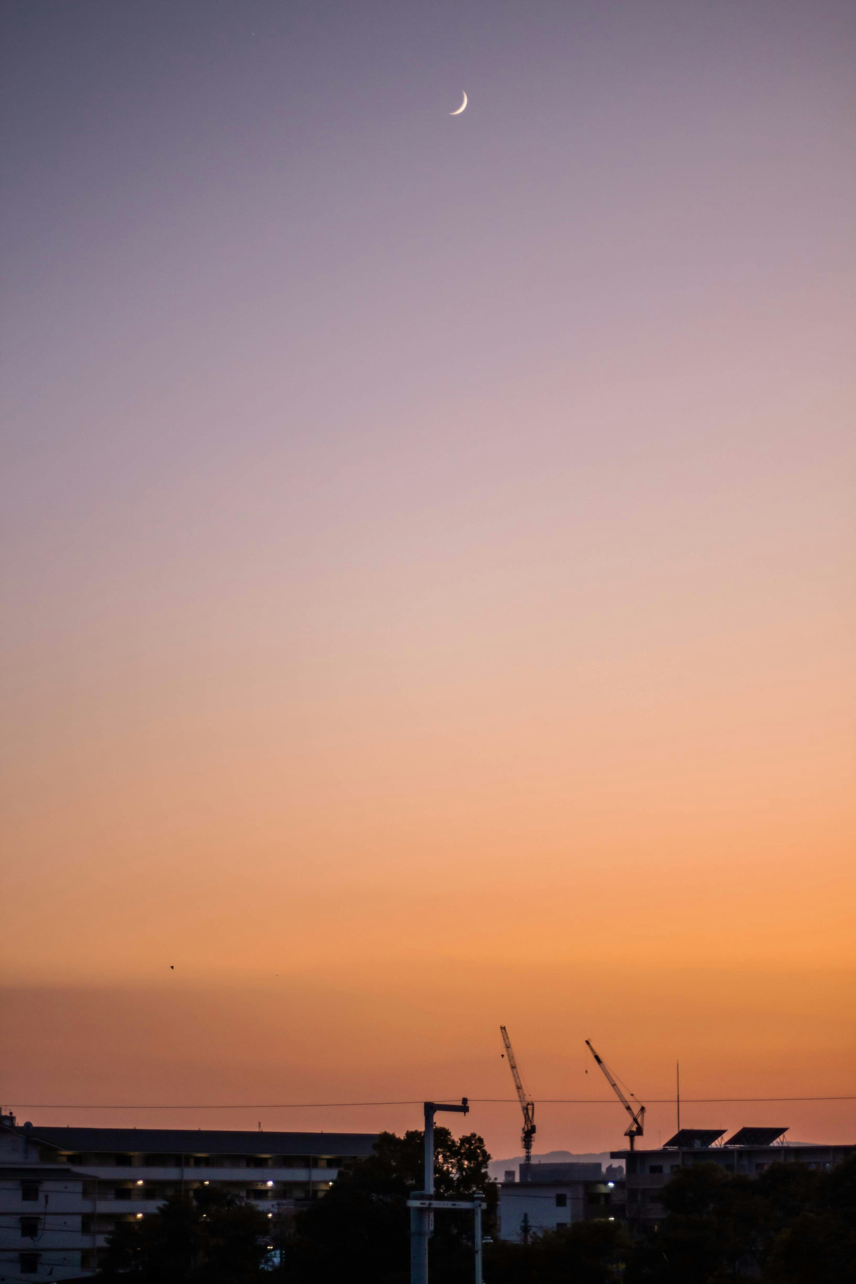 Photo by stuartdavies